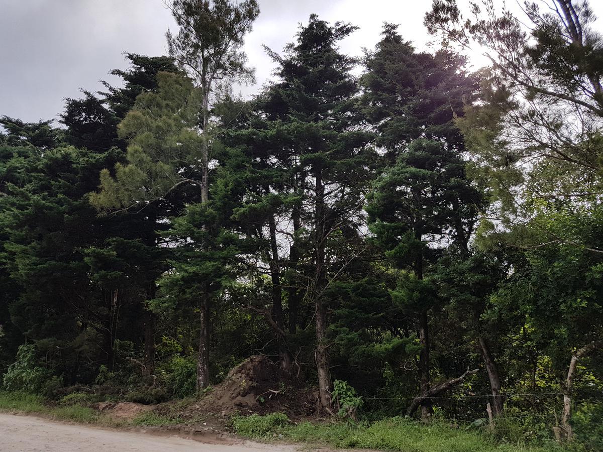 Greemount Hotel Monteverde Екстер'єр фото